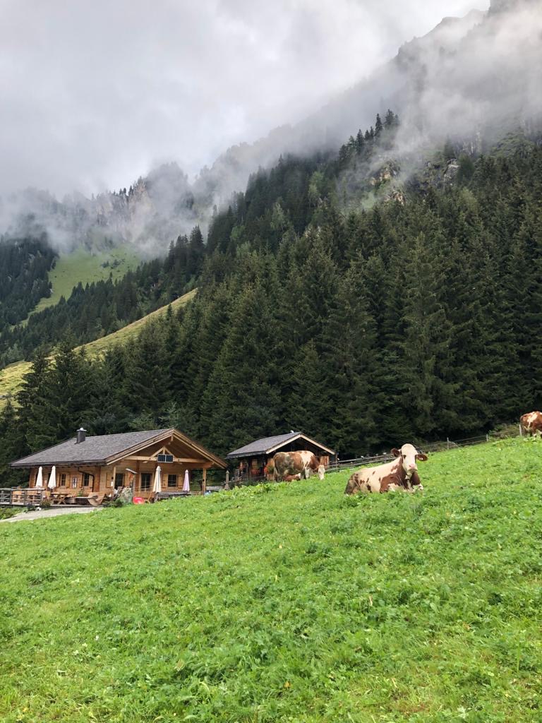 KampriesenALm.JPG