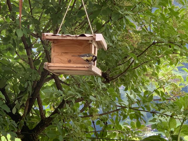 Appartement Wurnitsch