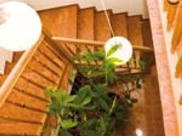 Appartement Berndlalm